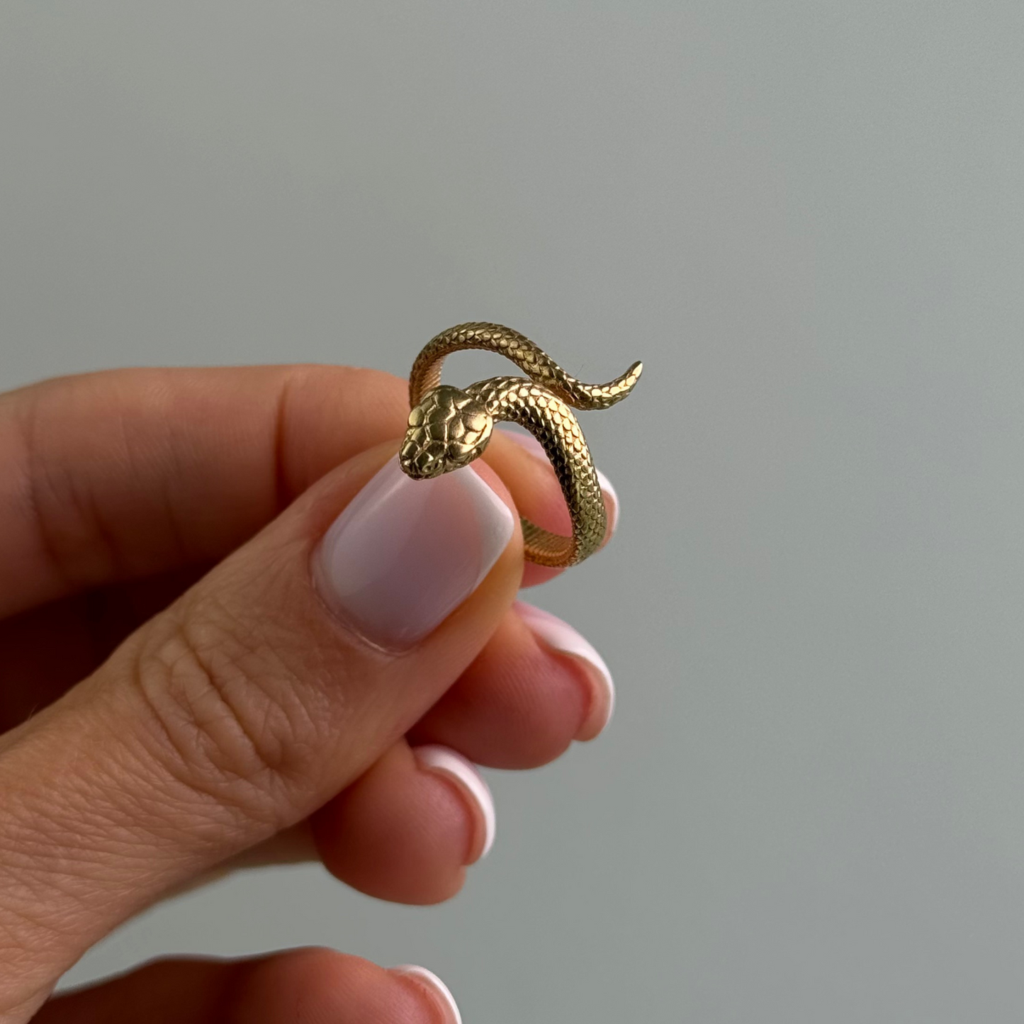 Snake