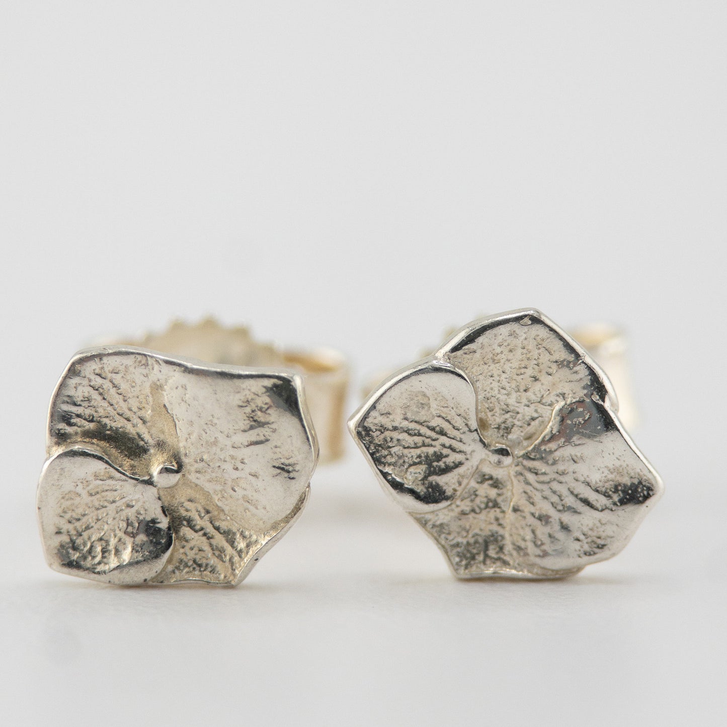 Hydrangea studs