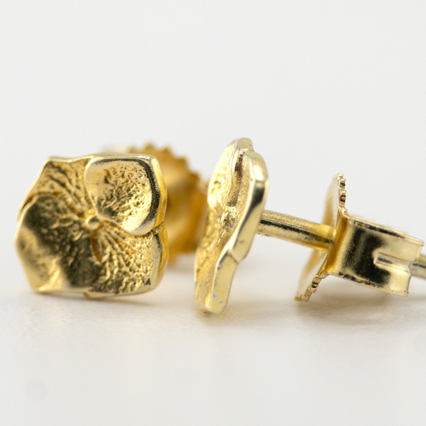 Hydrangea studs