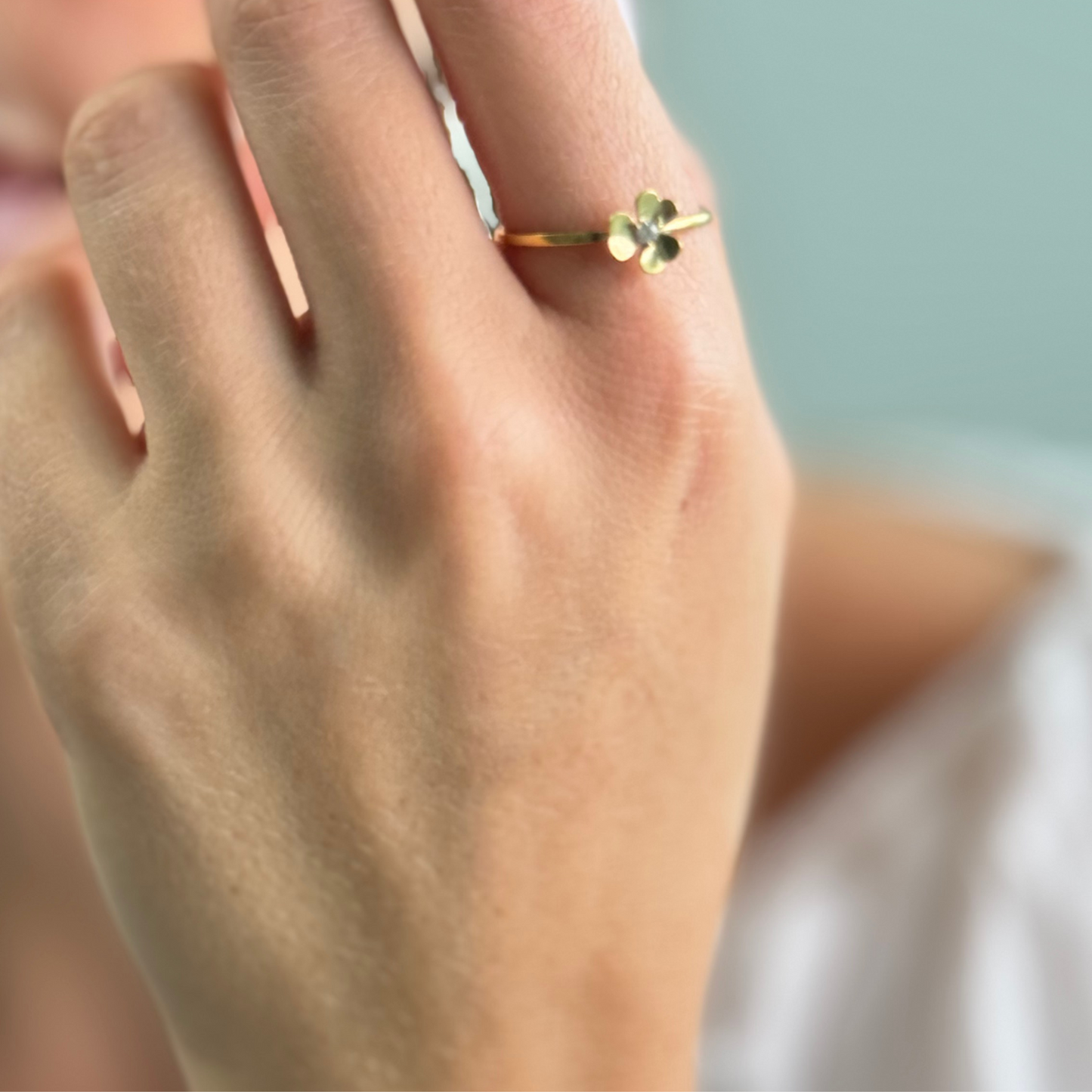 Clover with stone