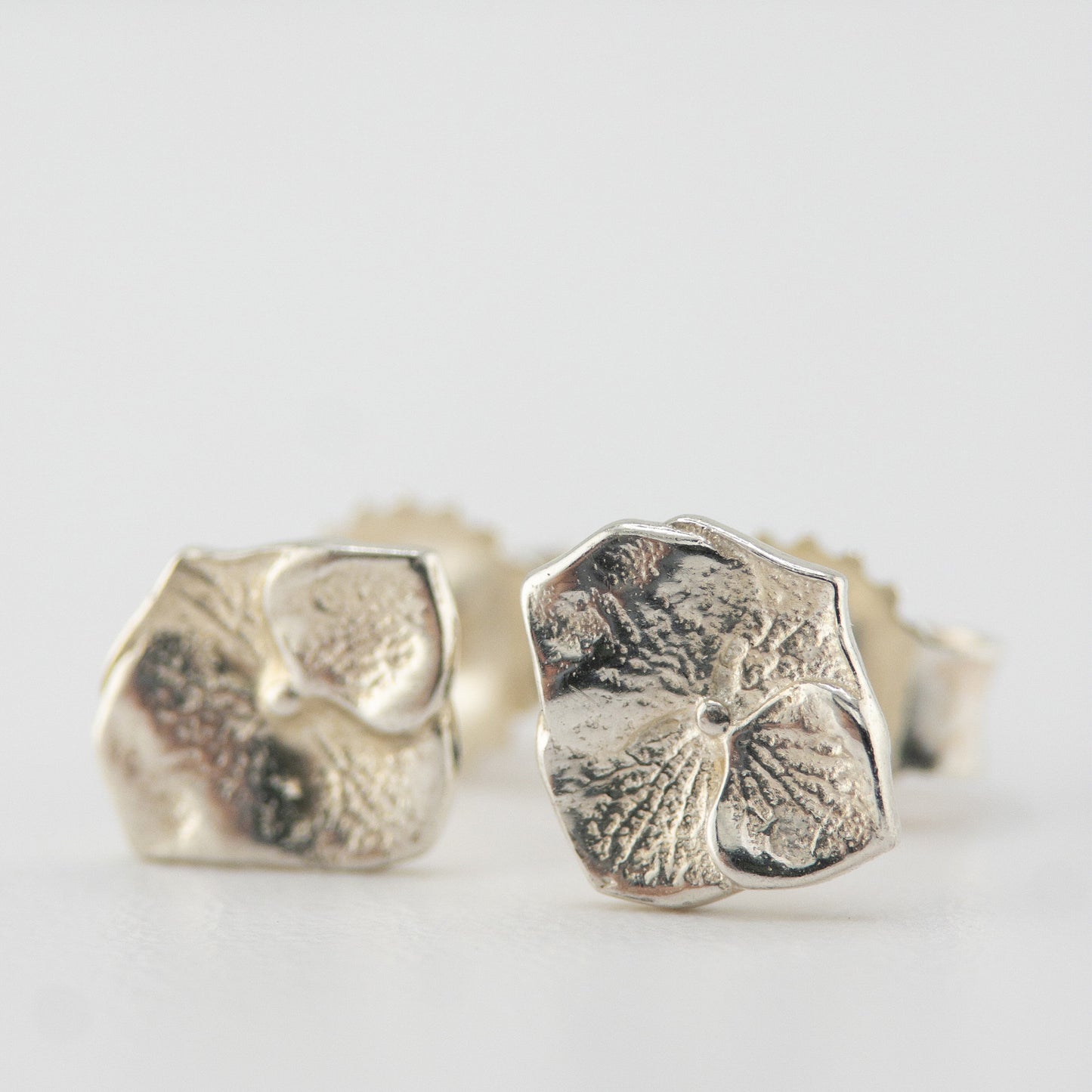 Hydrangea studs
