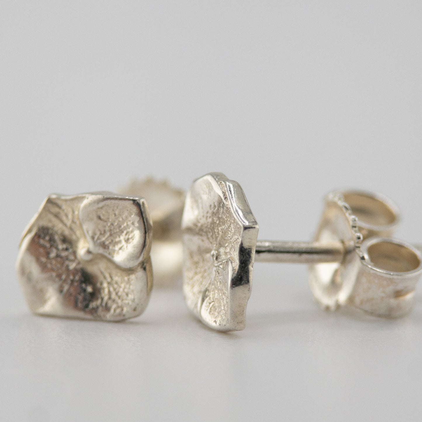 Hydrangea studs