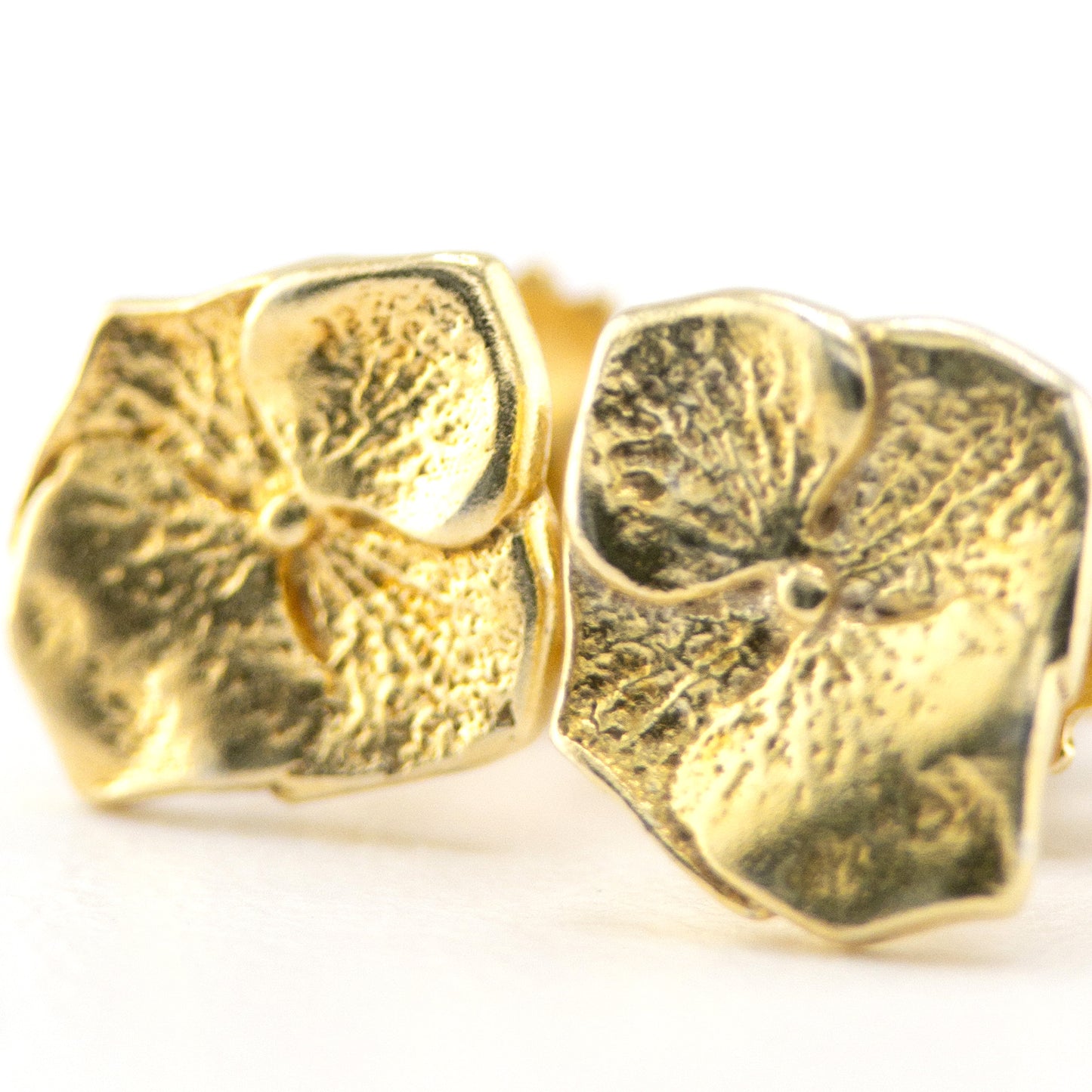 Hydrangea studs