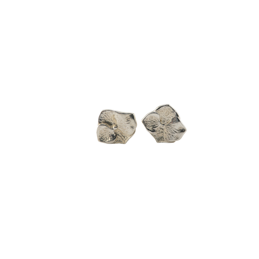 Hydrangea studs
