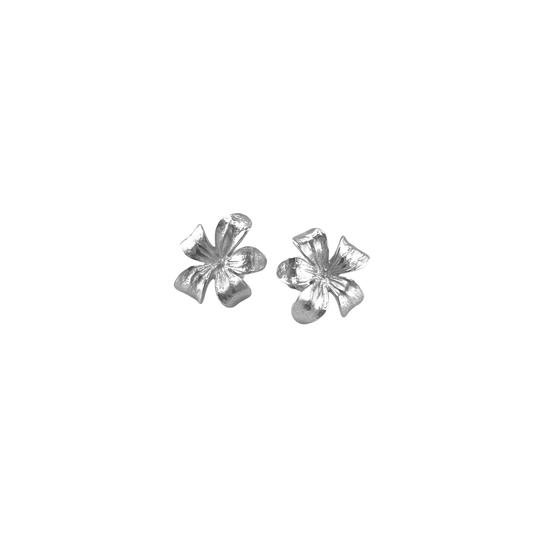 Flowers Lilac