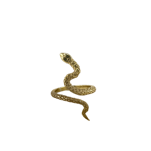 Snake